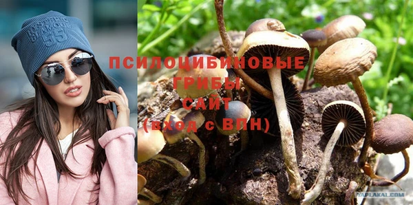 соль ск Майский
