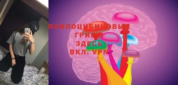 эйфоретик Армянск