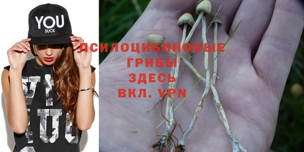 эйфоретик Армянск